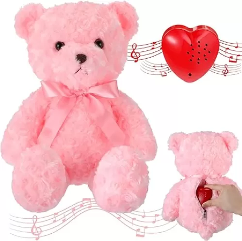 Hungdao Bear Stuffed Animal With Voice Recorder Set, 60 Seconds Sound Module, 16 Inch Soft Plush Cute Stuffed Bear, Zipper Sound Box, Recordable Heart for Boys Girls (Pink)