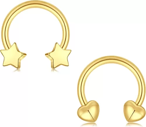 JFORYOU 16G Septum Rings Heart Star Dragon Claws Horseshoe Cartilage Earring Hoop 316L Stainless Steel Helix Daith Earring Nose Septum Ring Piercing Jewelry for Women and Men