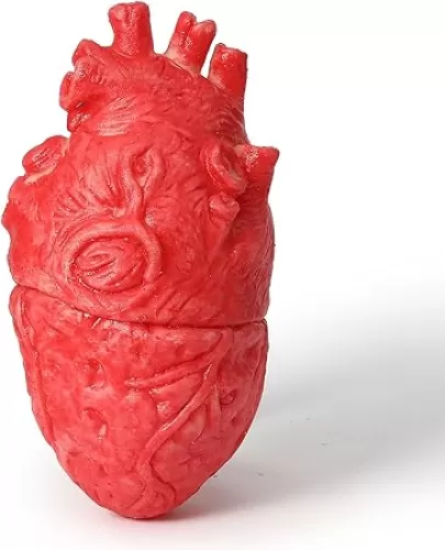 ONEDONE Fake Bloody Heart Body Organ Parts Halloween Horror Props Haunted House Party Decor for Adults