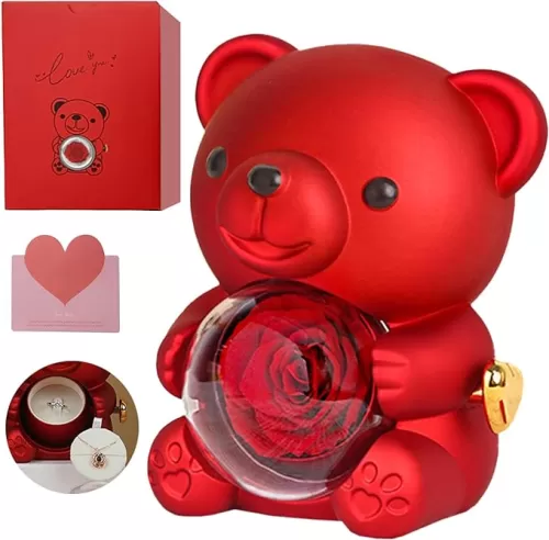 Real Rose Bear Gift Box - Romantic Cute Teddy Hug Bear with Preserved Eternal Real Red Rose Flower for Her Women Girlfriend Valentine