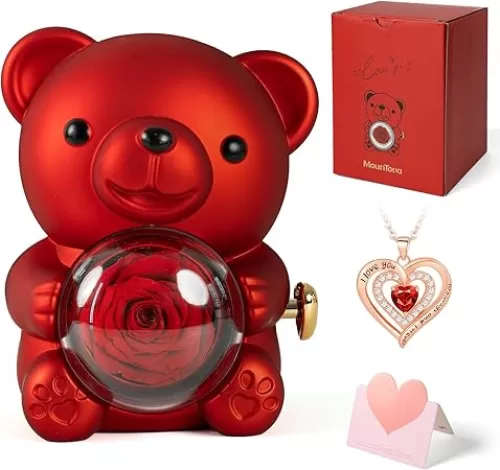 Romantic Teddy Bear with Preserved Rose and Necklace, Real Rose in Elegant Gift Box for Women, Bear Roses Gifts for Valentine