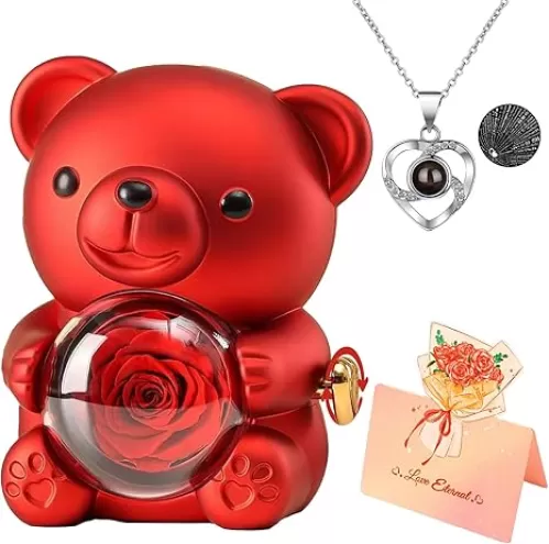 Romantic Teddy Bear with Preserved Rose and Necklace, Romantic Everlasting Rose Bear with I Love You Necklace 100 Languages and Beautiful Gift Box, Mother