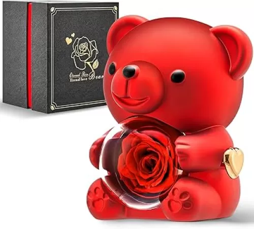 Romantic Teddy Red Bear with Preserved Rose - Real Rose in Elegant Black Gift Box for Anniversaries, Weddings, Bridal Showers, and Mother