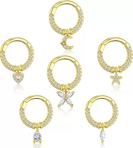 Staligue 16G Septum Clicker Rings Dangle septum jewelry for Women Stainless Steel Septum Clicker Hinged Segment Septum Rings Set Butterfly Star Moon Heart Cartilage Septum Piercing Jewelry