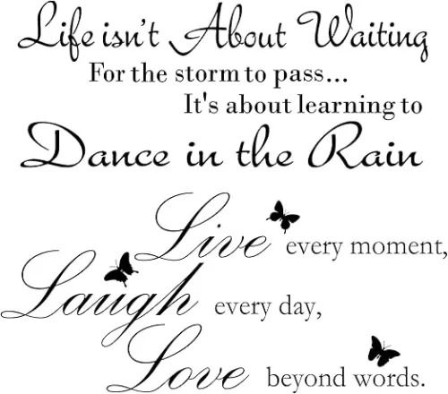 Zonon 2 Sheets Live Every Moment Laugh Every Day Love Beyond Words Stickers Vinyl Wall Decals Motivational Wall Quote Sayings Stickers Inspirational Quote Butterfly Wall Home Decors