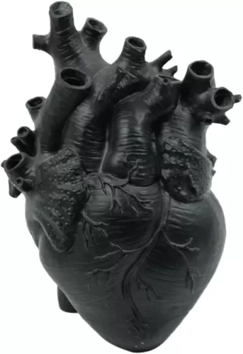 1 PCS Resin Heart Vase Anatomical Hearts for Flowers Human Heart Organ Shape Vases Unique Flower Vase Gothic Vases Desktop Home Decoration Decoration (Black)