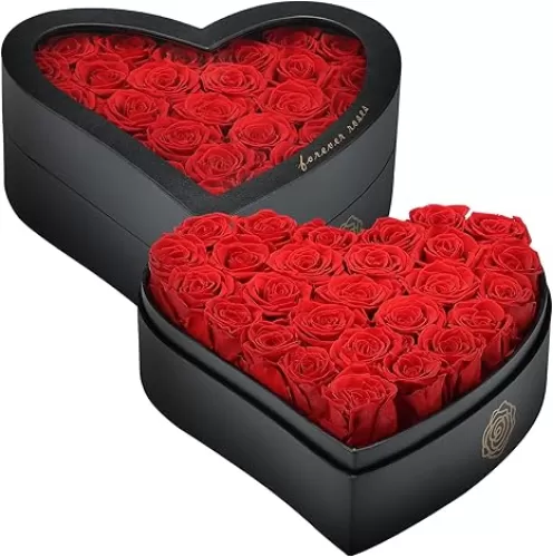 27 Red Forever Preserved Roses in a Box, Grade A Quality - Preserved Flowers, Heart Shaped Box, 2-3 Year Lifespan, Forever Flowers for Birthday Gifts for Women, Wife, Girlfriend