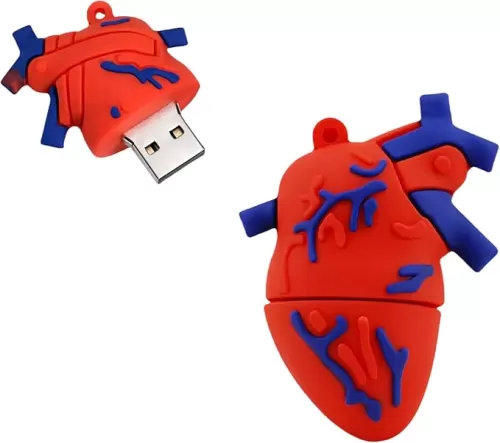 64GB USB 2.0 Flash Drive Cartoon Novelty Organ Heart Shaped Memory Stick Silicone Rubber Pendrive
