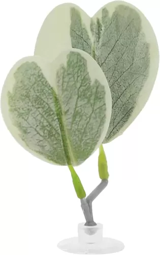Betta Fish Bed, Betta Leaf Bed, Plastic Betta Heart-Shaped Hammock, Betta Hammock Pad with Suction Cup, Betta Fish Resting Place Betta Fish Supplies Aquarium Decor, Light Green
