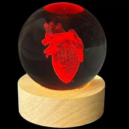 Crystal Night Light 3D Human Heart, 2.4 Inch Crystal Ball with 16 Color Wooden Base and Remote Control