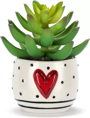 DEMDACO Heartful Home by Tracy Pesche Collection Mini Faux Succulent Red Heart Black Dot 2 x 1.5 Stoneware Decorative Home Table Top Décor