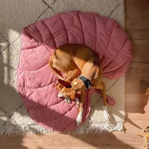 FUNNY FUZZY Dog Blanket, Leaf Pet Blanket 47×43" Dog Bed Mat Couch Cover Washable, Heart Shaped, Flamingo Pink
