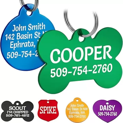 GoTags Dog Tags, Personalized Engraved Dog and Cat ID Tags for Pets, Custom Engraved on Both Sides, Various Shapes Including Bone, Round, Heart, Bow Tie, Star, and Badge (Bone, Small - Pack of 1)