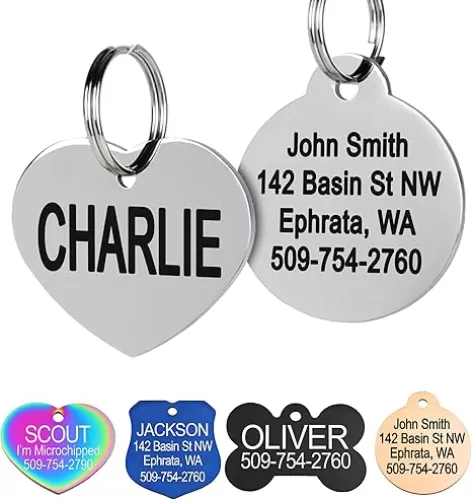 GoTags Stainless Steel Pet ID Tags, Personalized Dog Tags and Cat Tags, up to 8 Lines of Custom Text, Engraved on Both Sides, in Bone, Round, Heart, Bowtie and More (Heart, Small (Pack of 1))