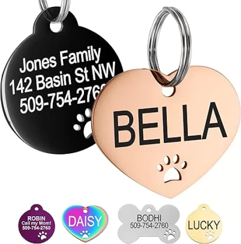 GoTags Stainless Steel Pet ID Tags with Paw Cutout, Personalized Dog Tags and Cat Tags, up to 6 Lines of Custom Text, Engraved on Both Sides in Bone, Round, and Heart (Heart, Small)