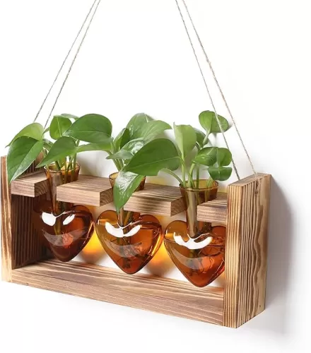 Plant Terrarium Unique Birthday Gift for Women Wall Planters for Indoor Hydroponic Plant Propagation Stations Heart Shaped Glass Vase with Wooden Stand