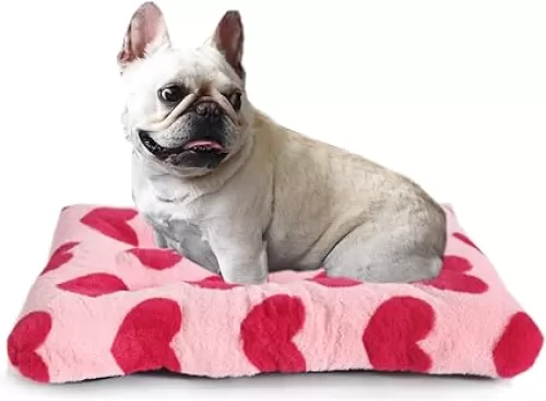Small Washable Dog Crate Bed Deluxe Plush fit Small Breed Pets, 24 inch Dog Kennel Pads with Anti-Slip Bottom Pet Sleeping Mat, 24 x 18 Pink Heart