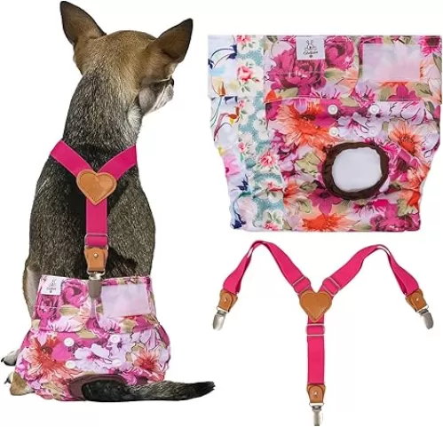 CuteBone Dog Diapers Female 3 Pack Reusable Doggy Diapers with One Suspender for Small Medium Large Dog Period BDD02L