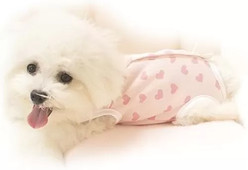 Teacup Dog Clothes Cold Prevention Fully BELLYSMALL Outfit Spring Autumn (Little Red Heart XXS)