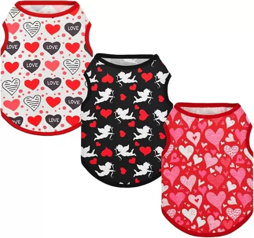 Vehomy 3-Pack Valentine
