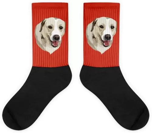 Print Your Paws - Custom Pet Socks XL (Men's 12-15, Women's 14-17)