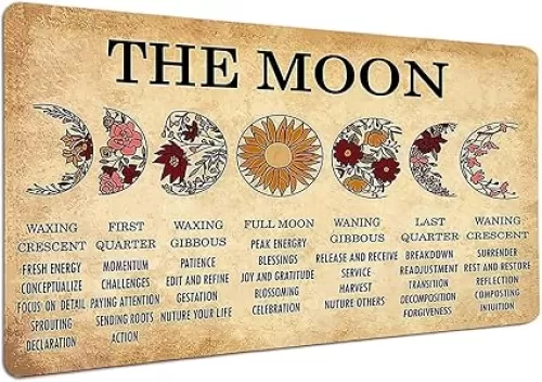 Vintage Metal Tin Sign Funny Sarcastic Party Wall Art Decor Signs Moon Phases Meanings Witchery, Home Decoration New Year Sign Gift for Parents, Office Restaurant Garage Bar 8x12 Inches