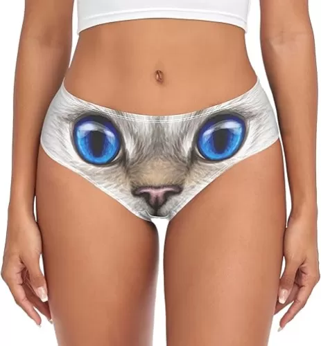 CaTaKu Women’s Bikini Underwear Cute Briefs Hipster Panties for Womens Ladies Underwear Panty