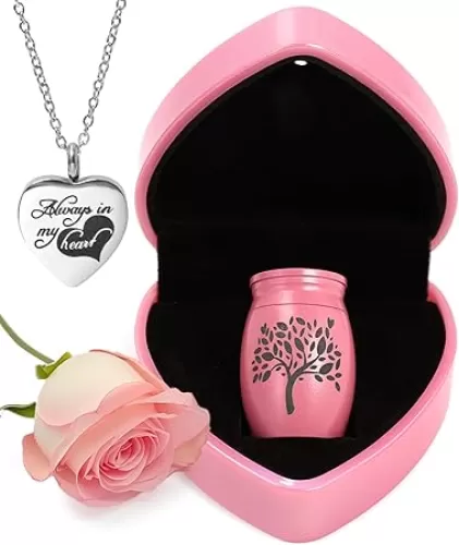 Small Urns for Human Ashes Keepsake- Mini Cremation Urn Very Feminine and Pretty - Best Heart Warming Gift for Girl Women Female Baby with Heart Box- Little Miniature Urn with Necklace