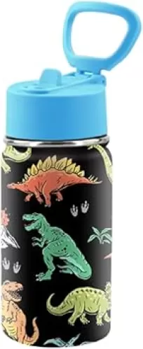 Kids Stainless Steel Water Bottles; Various Patterns; Construction, Dinosaurs, Monster Trucks, Pink/Purple Star Design (Dinosaurs), 12oz