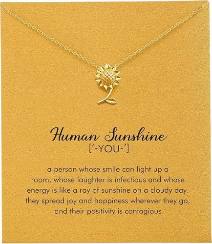RZKING Gold Necklace for Women, Dainty Butterfly Heart Bow Rose Necklace, Gifts for Best Friend Sister Mom Girlfriend, Graduation Chritmas Birthday Anniversary Thank You Gifts