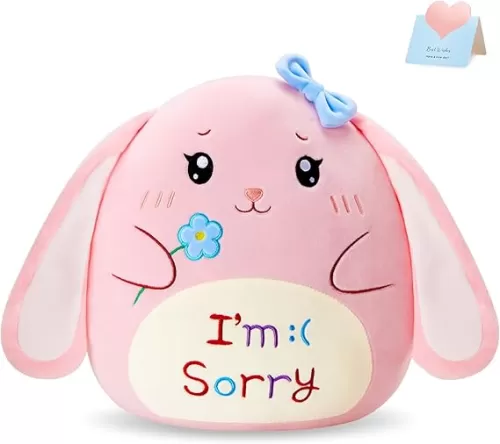 WEWILL Apology Bunny Plush Pillow - 12 Inches, I’m Sorry Embroidered, Perfect Rabbit Stuffed Animal Apologize Gift for Boys and Girls