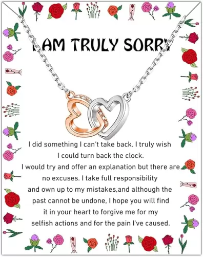 WSNANG I'm Sorry Gifts Apology Gifts for Her - Interlocking Heart Forgiveness Necklace - For Wife, Soulmate