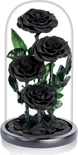 4 Preserved Flowers in Glass Dome - Roses Gift for Her - Birthday Flowers for Women, Black