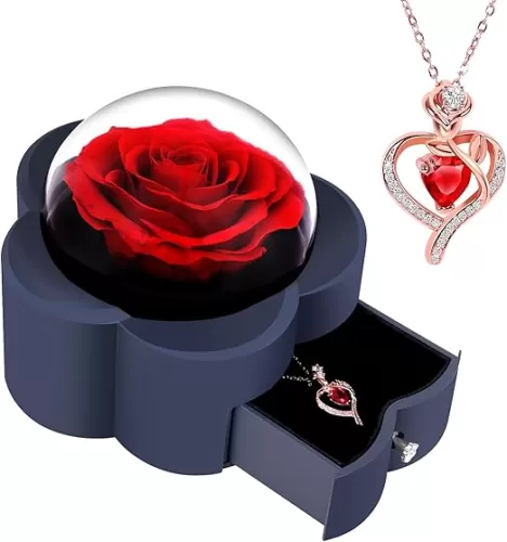 Preserved Rose with Heart Necklace Eternal Flower Gift for Mom Wife Girlfriend Women Perfect for Valentine's Day Birthday Anniversary Mother's Day Christmas Red Rose