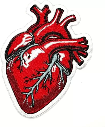3.5" Anatomical Iron On Patch - Embroidered Anatomical Heart Applique Appliques Iron On Sew On Patches for Holes, Clothing, Jeans, Hat, Backpacks, Clothes - Heart Patch