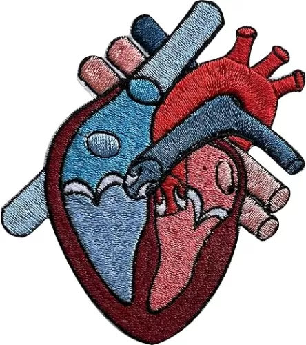 Anatomical Heart Patch, Sew On Iron On Embroidery Patches for Clothes Backpack Hats Jeans, Embroidered Patches, Aesthetic Patches, DIY Iron Funny Paramedic Doctor Iron On Patch, Gift for Nurses