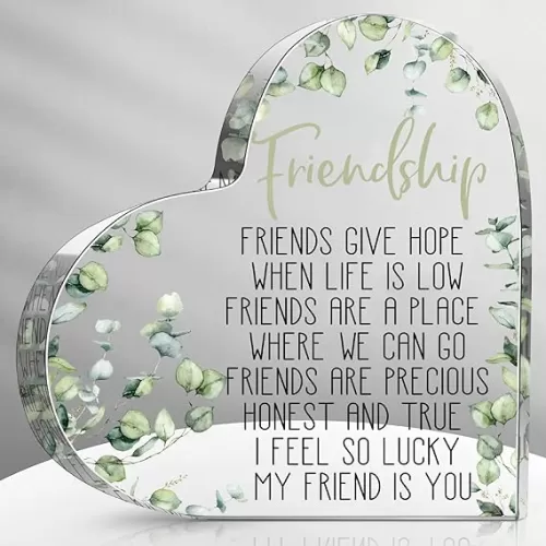 Spiareal Gift for Friend Friendship Women Friend Friendship Birthday Cheer up Gift Acrylic Heart Butterfly Keepsake Paperweight for Home Office Table Shelf(Eucalyptus)