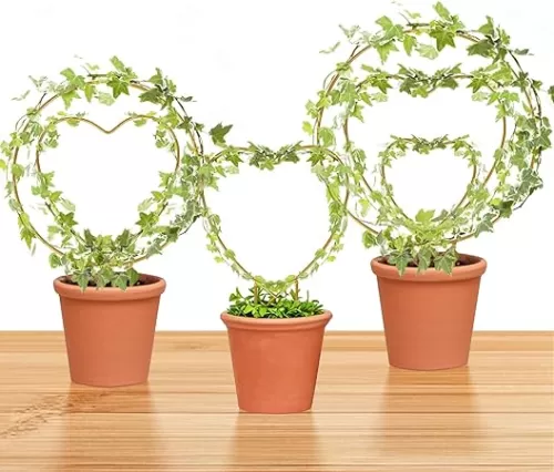 Hoya Trellis 3 Size Indoor Plants Flower Support Stakes Round or Heart Metal Trellis Set Garden Tool Accessories for Small Potted Vine Climbing Houseplants (GoldenCH)