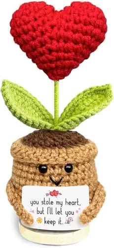 Mini Crochet Heart Flower 2025, Heart Plant as Valentine’s Day, Wedding, for Couples, Thoughtful Gifts for Him Her, Husband Wife on Christmas and Birthday Decorations