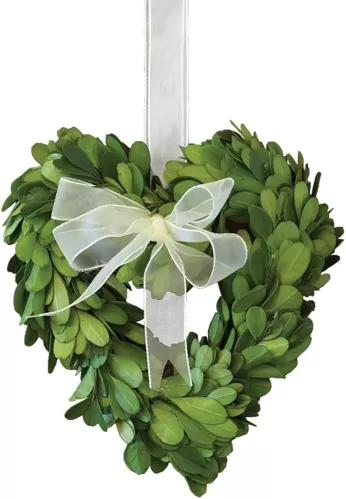 Napa Home & Garden 6-inch Heart Shaped Preserved Boxwood Wreath with Ribbon