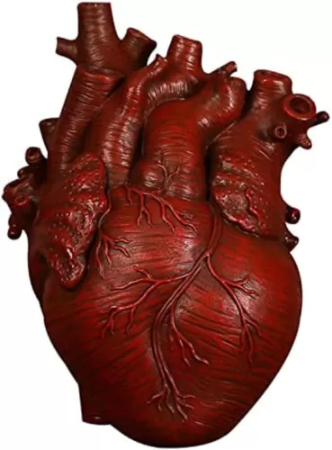 Resin Vase Planter, Decorative Heart Vase - Anatomical Heart Tabletop Decorative Craft, Farmhouse Living Room Bedroom Countertop (Red, Large)