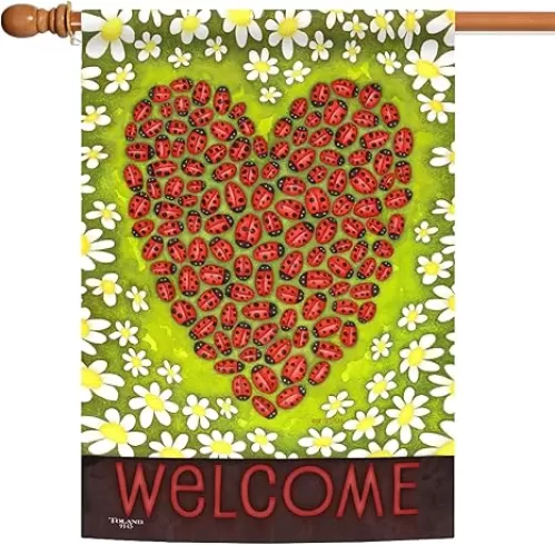 Toland Home Garden 109145 Ladybug Heart Valentine Flag 28x40 Inch Double Sided Valentine Garden Flag for Outdoor House Valentines Day Flag Yard Decoration