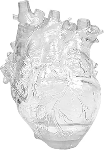 MANMAOHE Anatomical Heart Shaped Vase - Clear Resin Heart Sculpture - Creative Decorative Flower Vase for Home Decor, 5.12x3.54x6.69 Inch