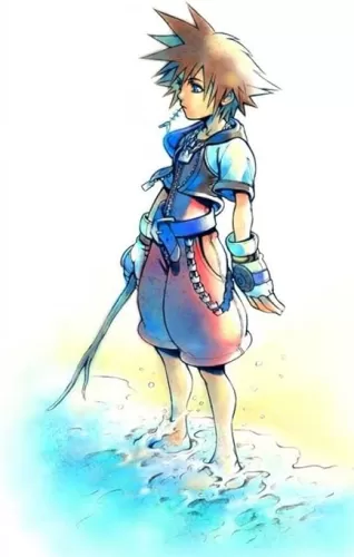 Kingdom Hearts 2 3 Sora Organization XIII 13 Nice Silk Fabric Cloth Wall Poster Print (20x13inch)