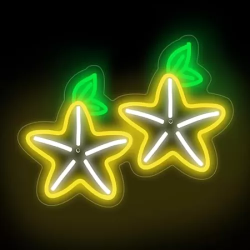 Paopu Fruit Neon Sign, Kingdom Hearts Paopu Fruit Decor, Game Room LED Light, Home Wall Decor, Birthday Gift for Kids, 16"x12"