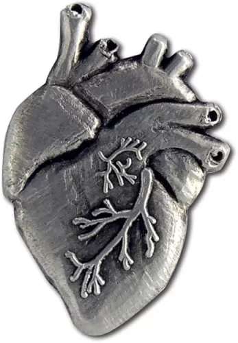 StockPins Anatomical Heart Lapel Pin – Detailed Medical Pin for Doctors, Nurses, Cardiologists, and Medical Students – Perfect for Lab Coats, Lanyards, and Awareness
