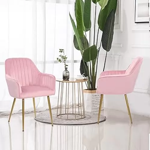 thksbought Set of 2 Velvet Dinning Chairs, Upholstered Accent Chairs with Gold Plating Legs for Living Room Chairs(Pink)