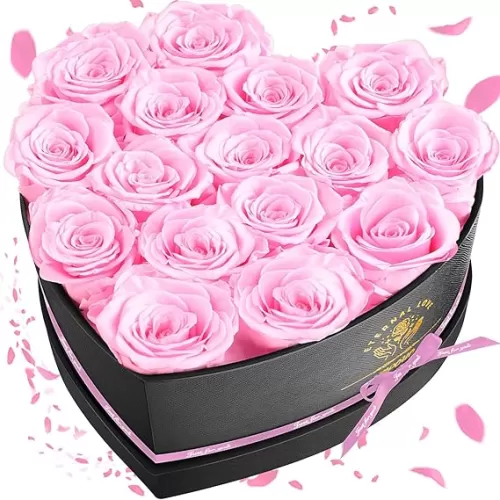 16-Piece Forever Flowers Heart Shape Box - Preserved Roses, Birthday Gifts For Women- Flower Delivery Prime, Valentines, Anniversary, Wedding Gifts- Pink Roses