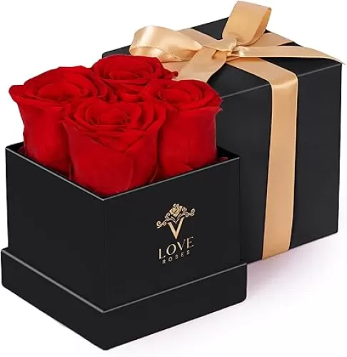 VLove® Forever Roses in a Box | Real Roses Forever Flowers Box | Naturally Preserved Flowers | Preserved Rose Box | Eternal Rose That Last A Year | Romantic Gifts for Mom & Wife (Red)
