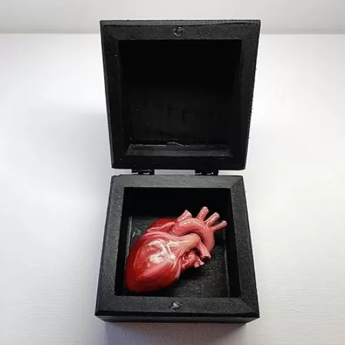 Beating Heart, 3D My Heart in A Box , Handmade Carved Heart-Shaped Gifts for Her or Him - Halloween, Christmas, Valentine's Day, Mother's Day, Father's Day, Birthday, Black Fake Heart Shaped Gift Box